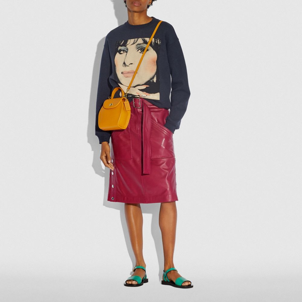 coach turnlock curved top handle