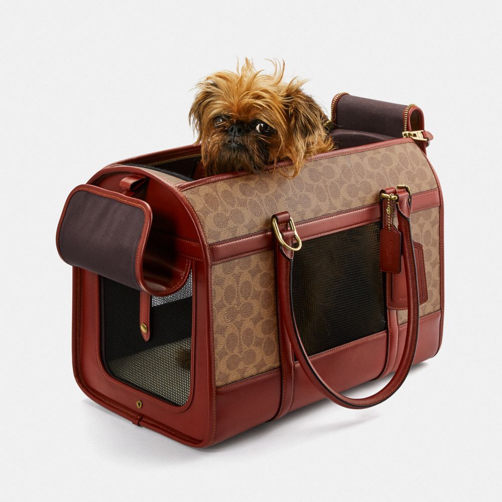 coach dog purse