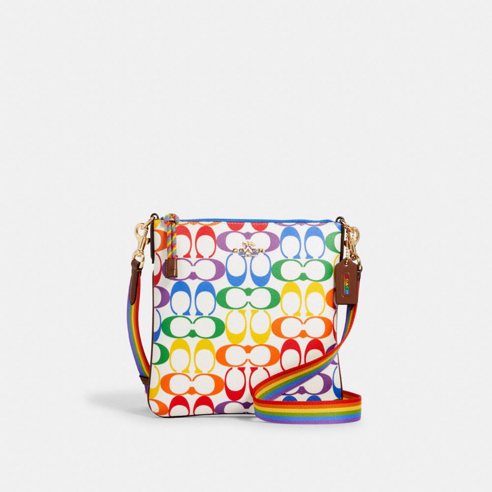 Coach rainbow bag online