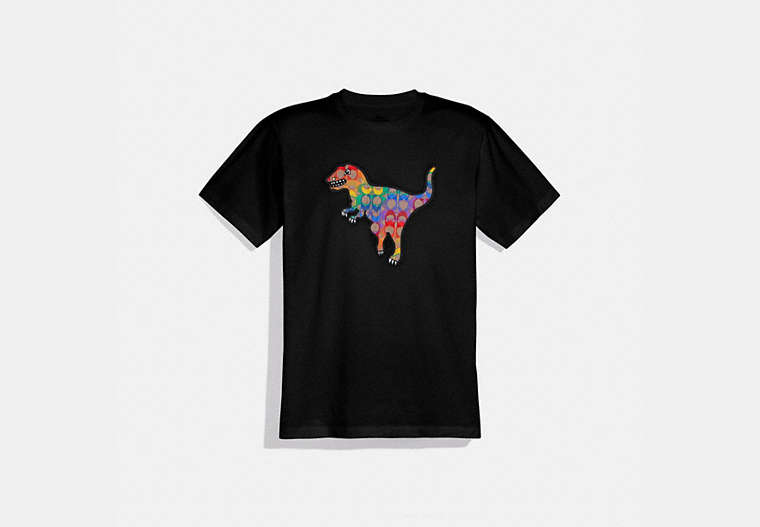 COACH®: Rainbow Signature Rexy T Shirt