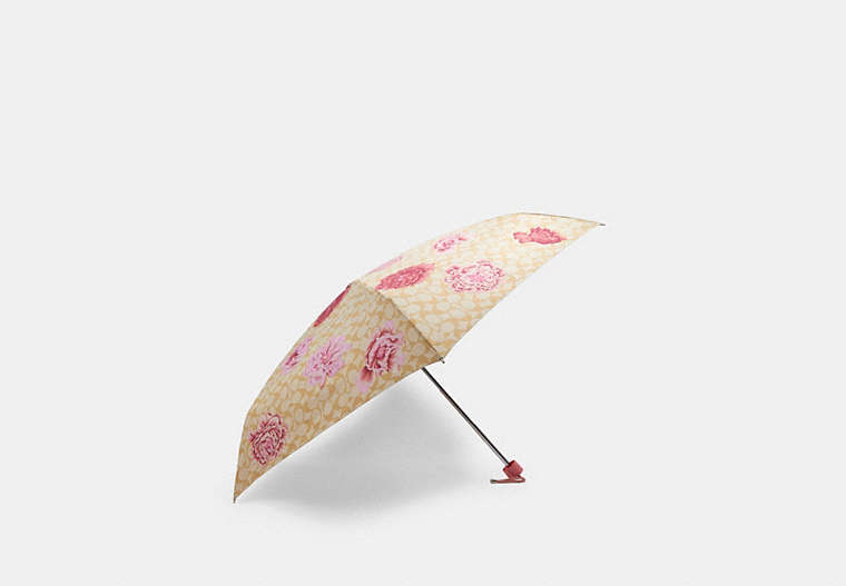 Mini Umbrella In Signature Kaffe Fassett Print image number 0
