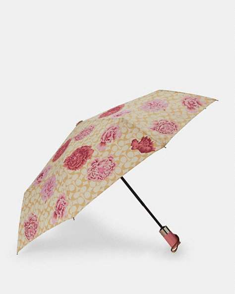 Umbrella In Signature Kaffe Fassett Print