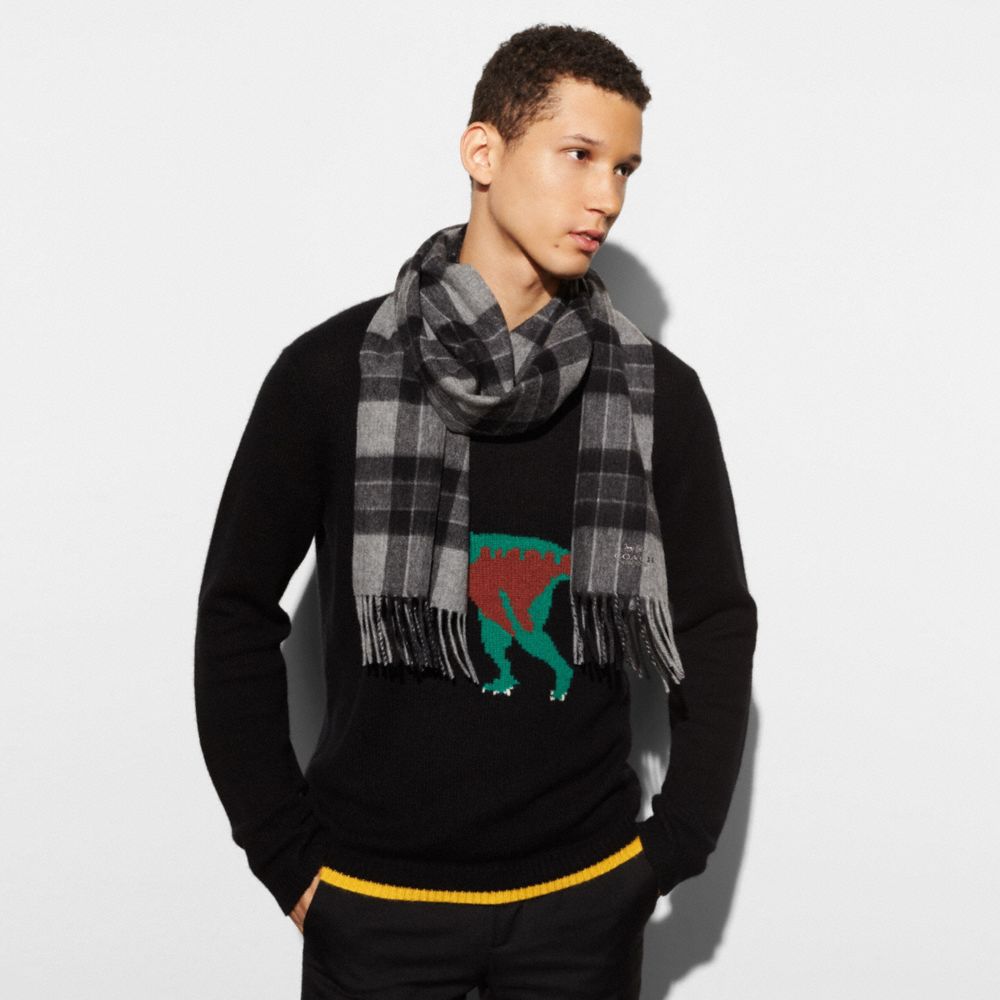 Varsity Check Plaid Scarf COACH®