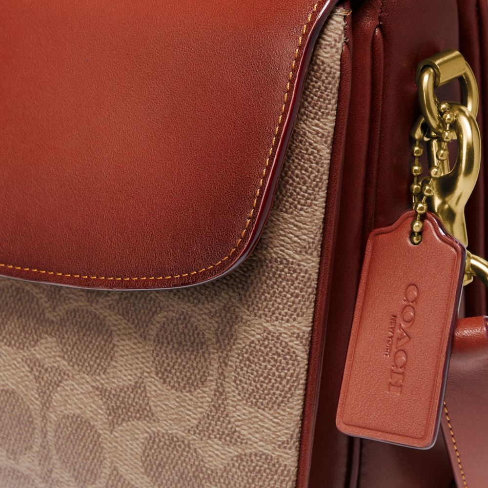 COMPARING THE POCHETTE METIS AND COACH CASSIE 