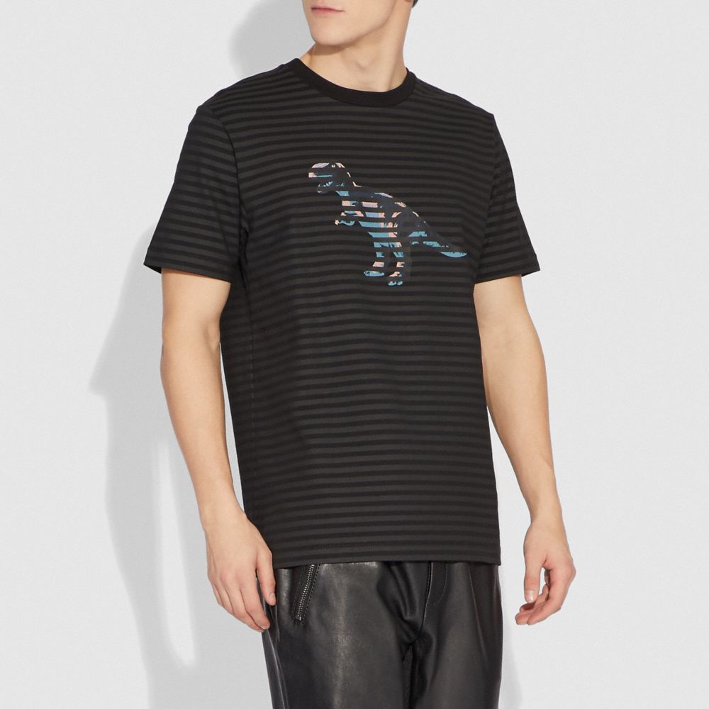 Dinosaur Stripe T Shirt | COACH®