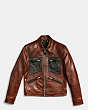 Leather Roadster Jacket
