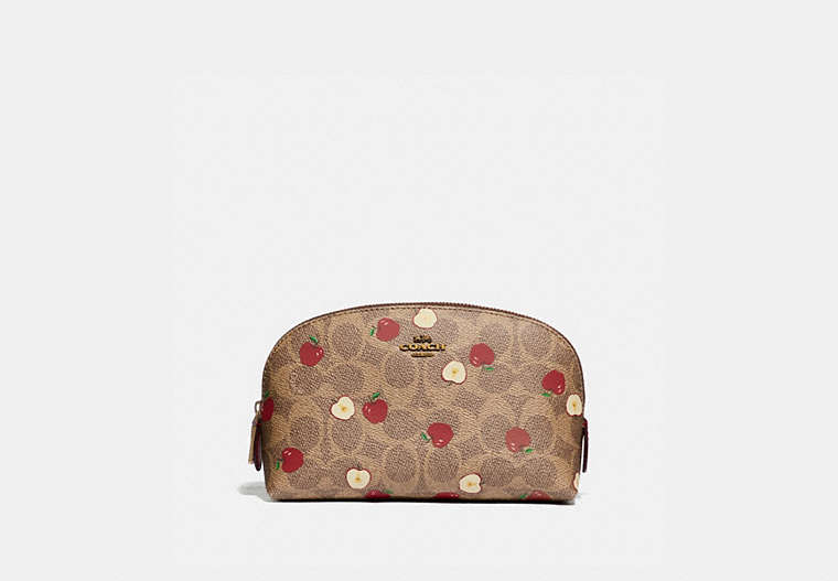 Cosmetic Case 17 In Signature Canvas With Scattered Apple Print | COACH®