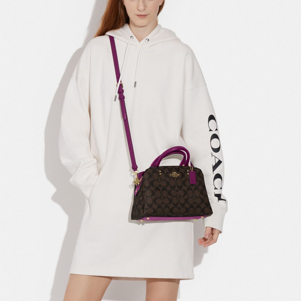 coach lillie carryall