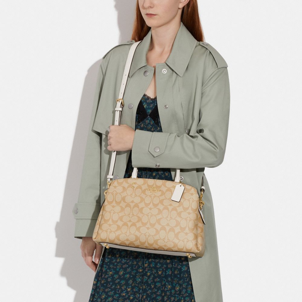 COACH mini Lilly carryall signature canvas purse in 2023