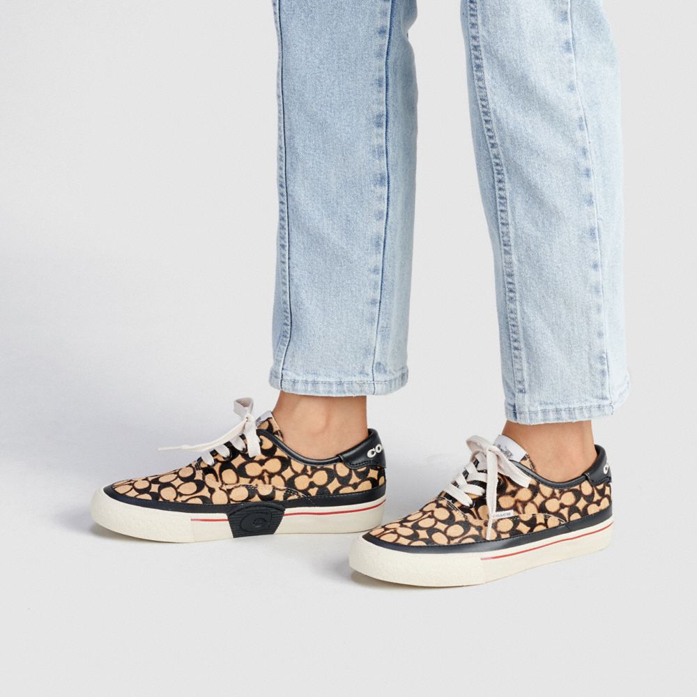 coach skate sneaker