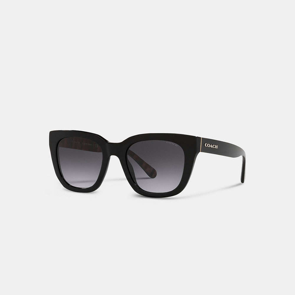 Coach Legacy Stripe Square Sunglasses In Black