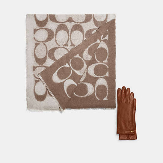 Reversible Signature Muffler & Horse And Carriage Leather Tech Gloves |  COACH®