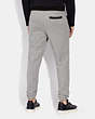 COACH®,SIGNATURE TAPE JOGGERS,cotton,Light Heather Grey,Scale View