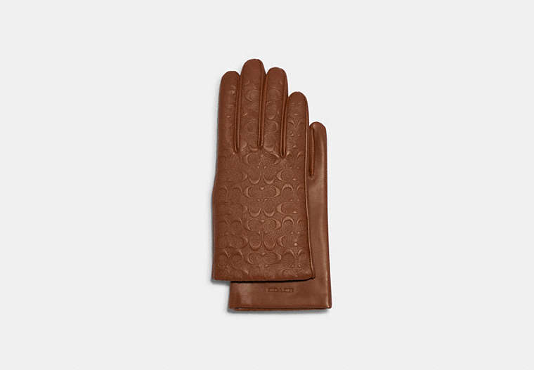 Signature Leather Tech Gloves