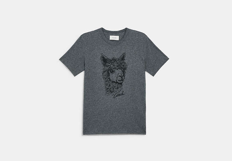 Alpaca Graphic T Shirt image number 0