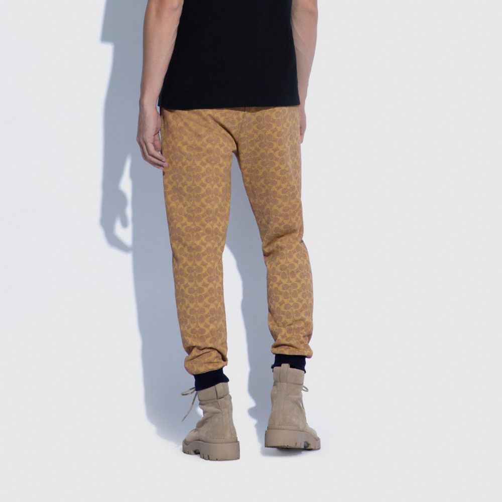 Essential Joggers In Organic Cotton