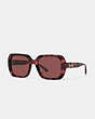Horse And Carriage Square Sunglasses