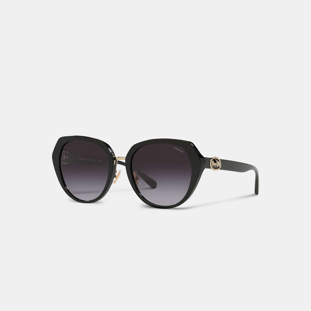 Coach Horse And Carriage Oversized Round Sunglasses In Black