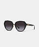 Horse And Carriage Oversized Round Sunglasses