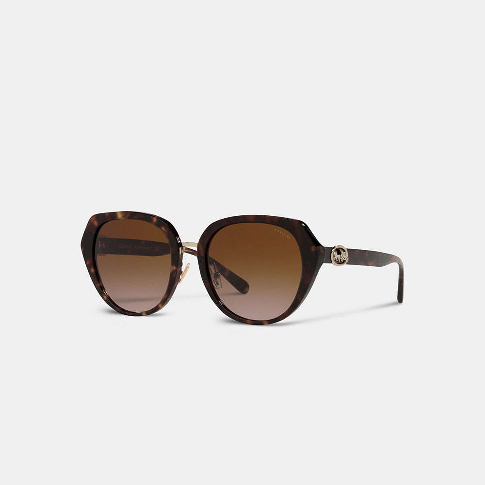 Coach Horse And Carriage Oversized Round Sunglasses In Dark Tortoise