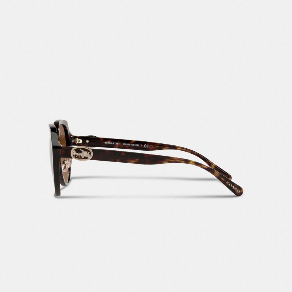 Shop Coach Übergrosse, Runde Sonnenbrille Mit „horse And Carriage" Motiv In Dark Tortoise