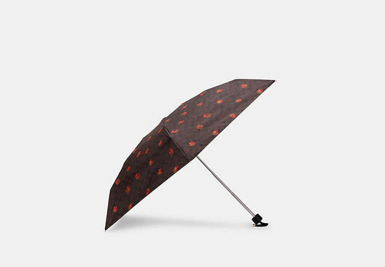 Uv Protection Mini Umbrella In Signature Pop Floral Print image number 0