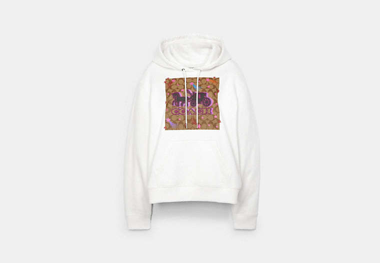 Disco Stars Horse And Carriage Hoodie image number 0