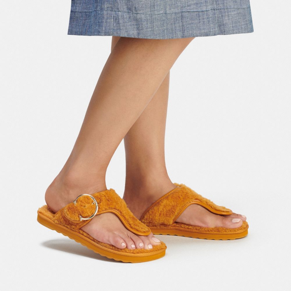 yellow coach flip flops