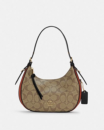 COACH® | Camera Bag With Horse And Carriage