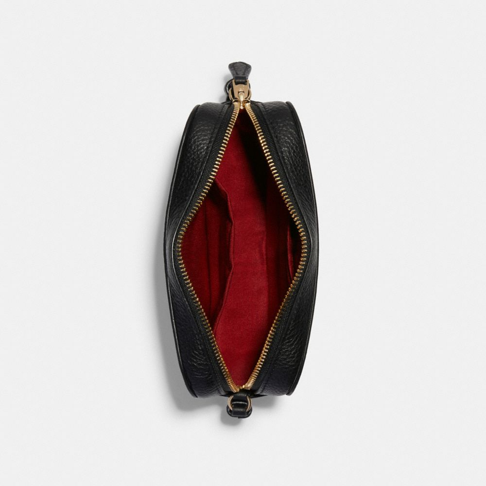 COACH®,Disney Mickey Mouse X Keith Haring Mini Camera Bag,,Inside View,Top View