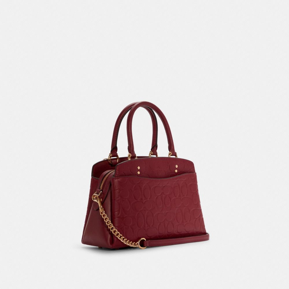 Mini Lillie Carryall In Signature Leather