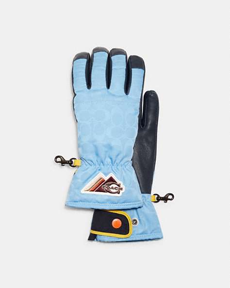 Signature Ski Gloves