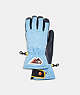 Signature Ski Gloves