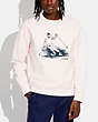 Ski Graphic Crewneck Sweatshirt In Organic Cotton