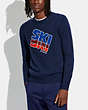 Ski Intarsia Sweater In Recycled Wool And Recycled Cashmere