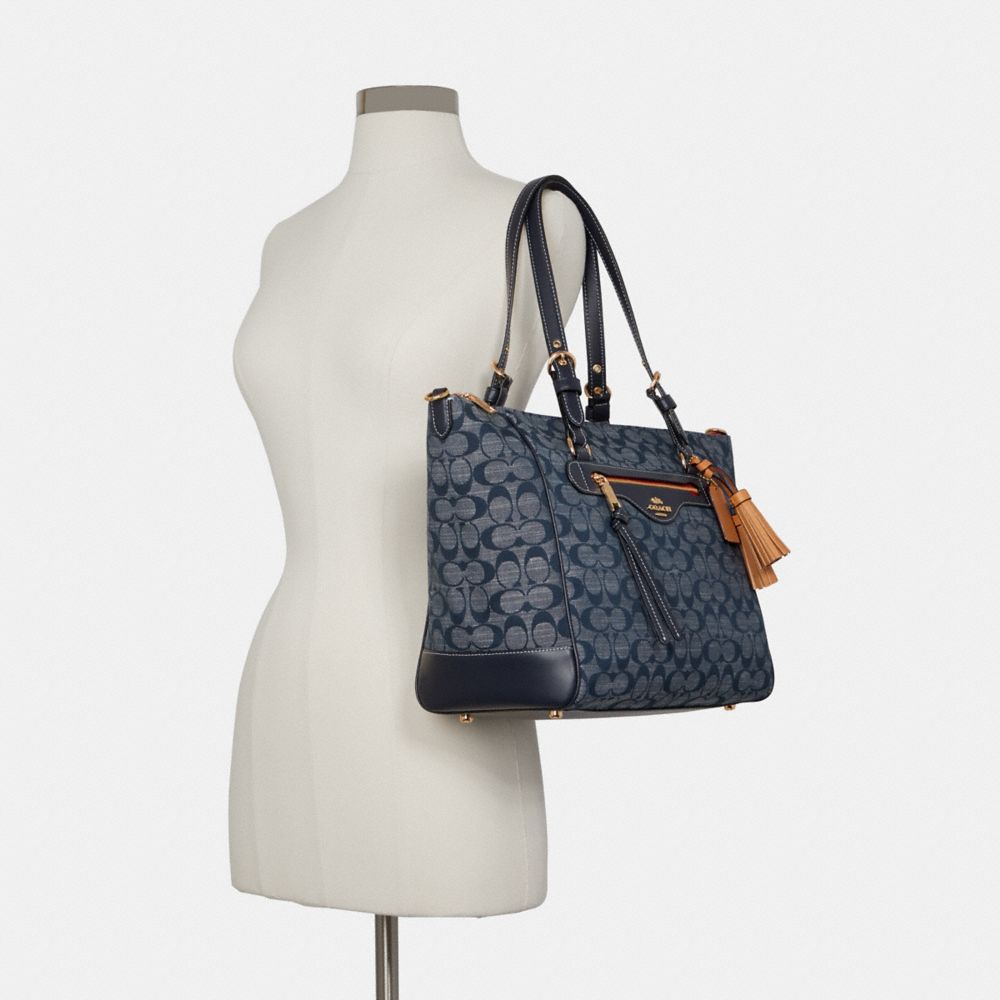 coach kleo carryall
