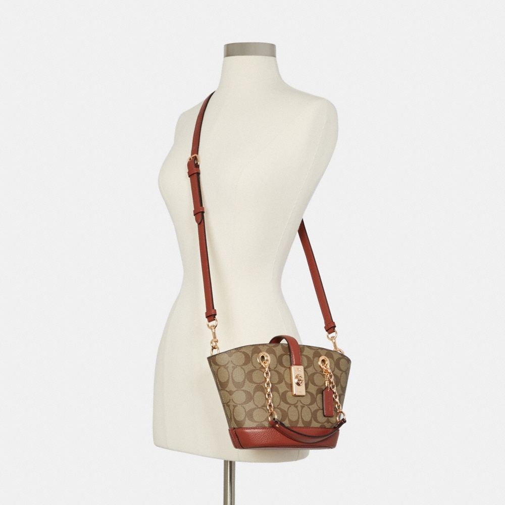 coach lane bucket bag