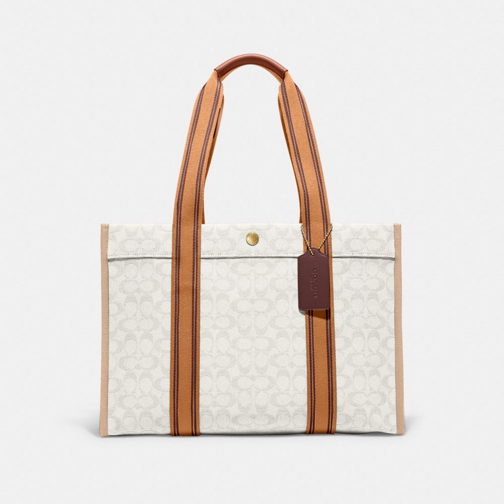 COACH Chain Crossbody Bag In Signature Canvas in Natural