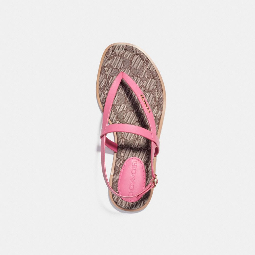 COACH® | Josie Sandal