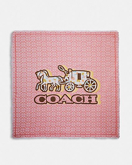 COACH® | Horse And Carriage Cashmere Muffler
