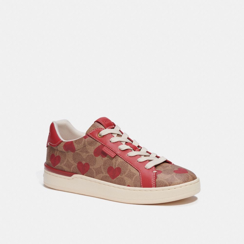 Lowline Low Top Sneaker