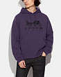 Horse And Carriage Hoodie In Organic Cotton