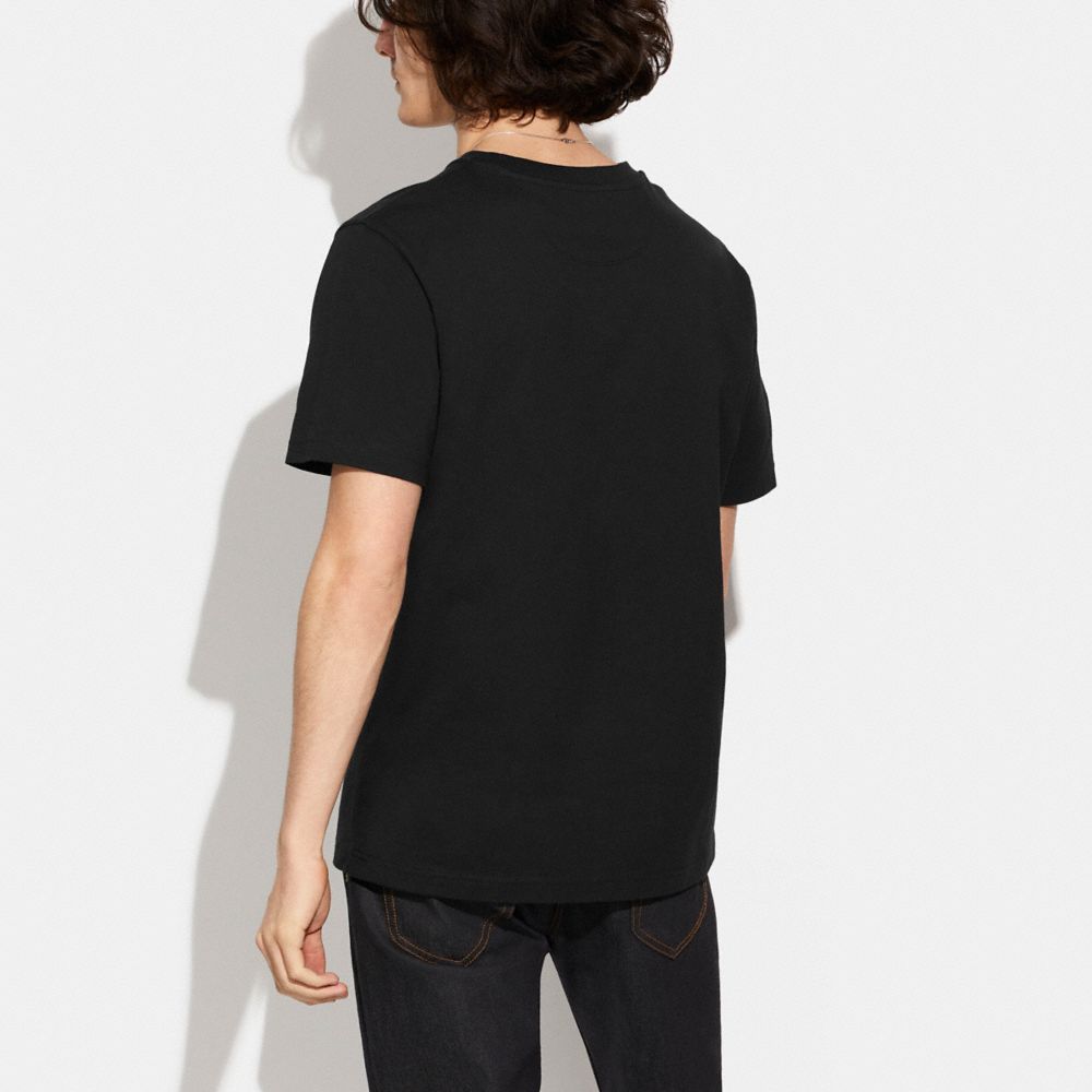Size L Collections