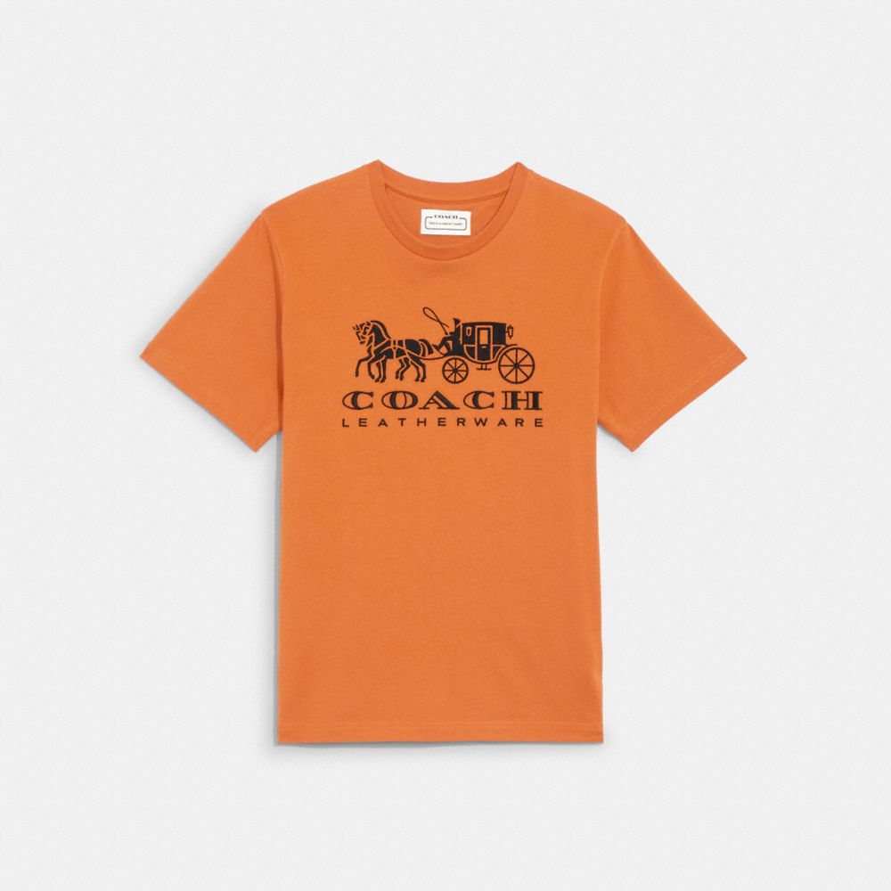 Size L Collections