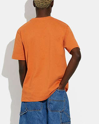 Size L Collections