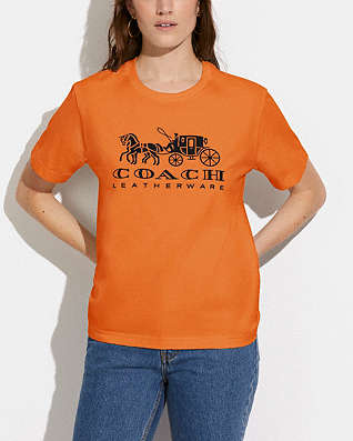 Size L Collections