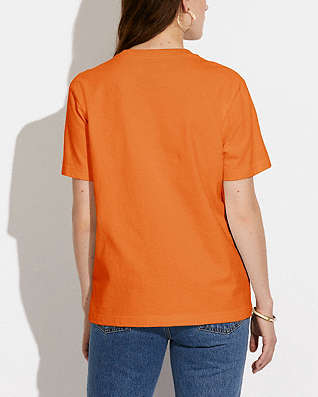 Size L Collections