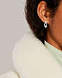 Signature Crystal Earrings