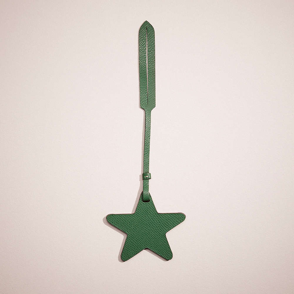 Shop Coach Remade Star Bag Charm In Green Multi
