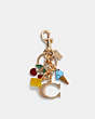 Signature Mixed Charms Cluster Bag Charm